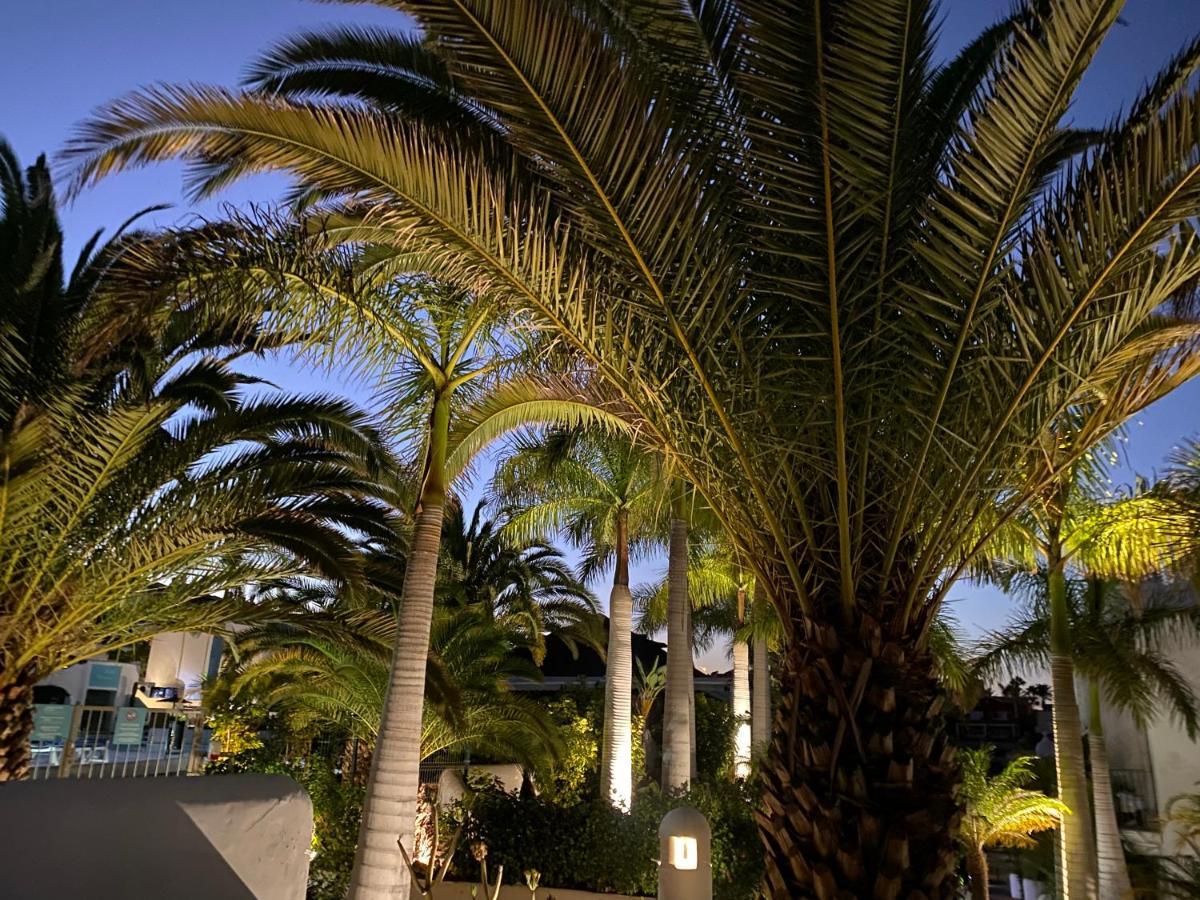 Adeje Paradise Resort 阿德耶 外观 照片